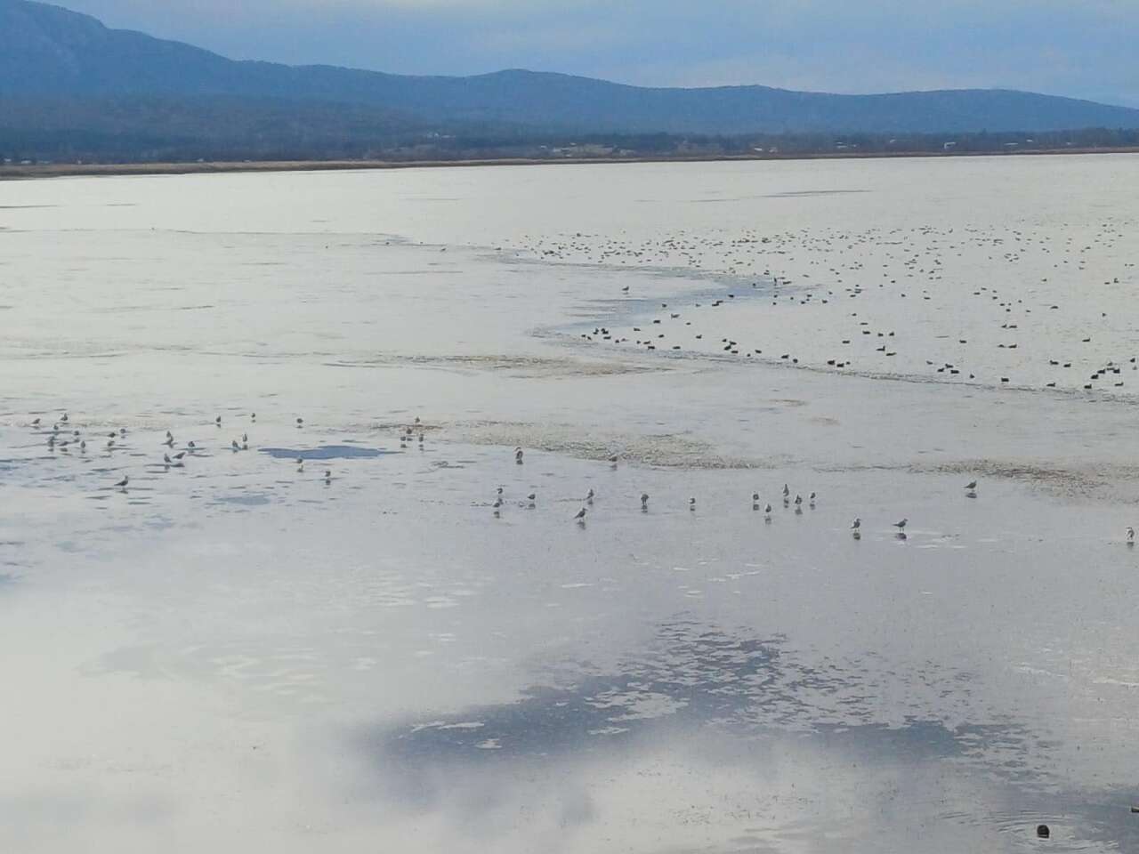 Hava sıcaklığı eksi 10'u gördü! Konya’nın denizi dondu 7